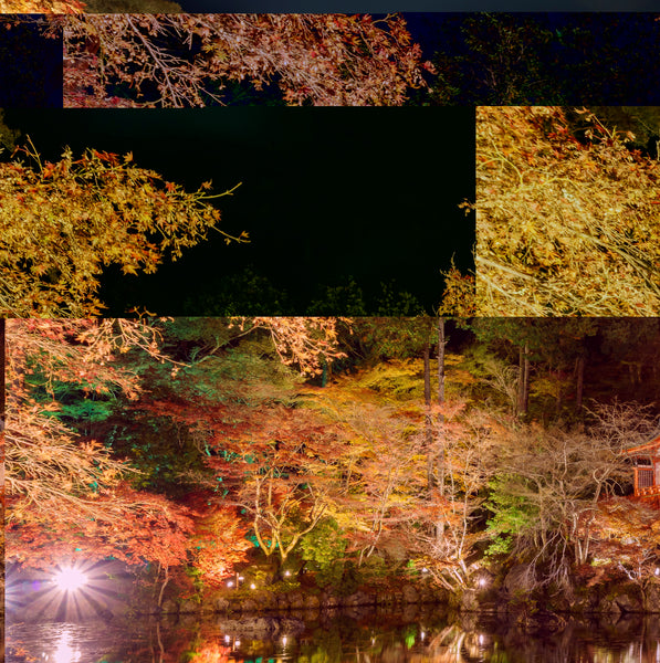 Crisp Fall Night (Yankee Candle Dupe) Fragrance Oil The Natures Treasure