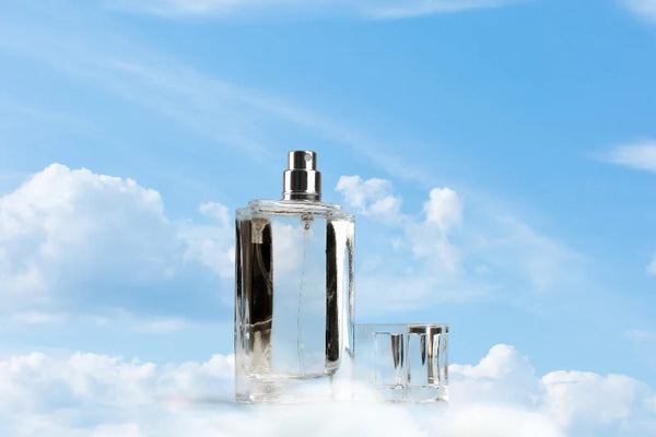 Blue Sky Fragrance Oil – The Natures Treasure