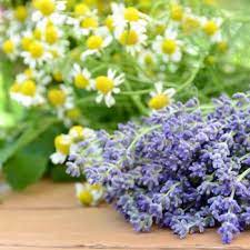 Lavender Chamomile Fragrant