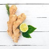 Fresh Ginger Lime (BBW Dupe) Fragrance Oil