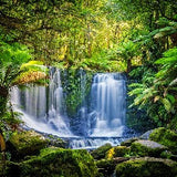 Rainforest Fragrant Oil