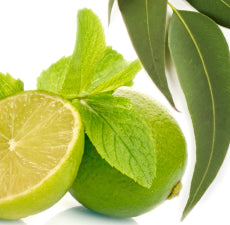 Eucalyptus Spearmint Fragrance Oil