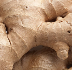 Ginger Root Essential Oil - Dried