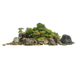 Floating Island (Lush Dupe) Fragrance Oil