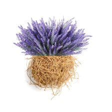Lavender Vetiver Fragrant