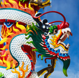 Manchurian Dragon Fragrant Oil