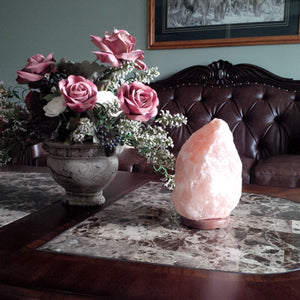 Himalayan Salt Lamp (Small 4-6 Lbs)