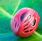 Nutmeg (India) Essential Oil