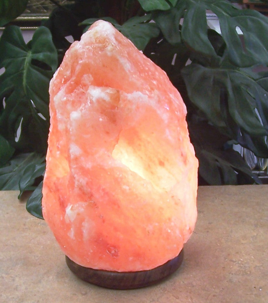 Himalayan Salt Lamp (Large 13-18 Lbs)