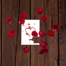 Rose Petals & Sandalwood Fragrant Oil