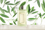 Salted Sage & Woods Fragrant Oil