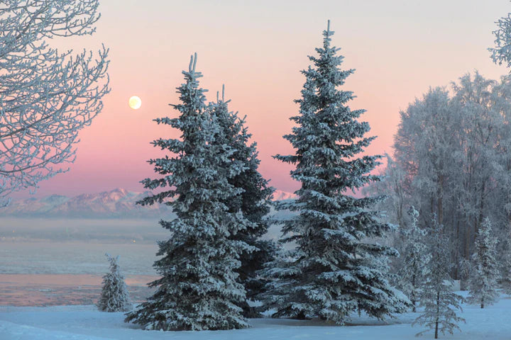 Winterscape Fragrance Oil
