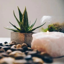 Soothing Spa Fragrant Oil