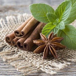 Cinnamint Lip Balm