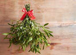 Under The Mistletoe Fragrant Oil