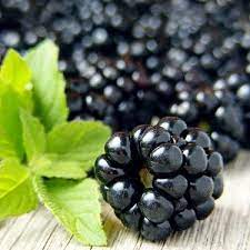 Blackberry Sage Fragrant Oil
