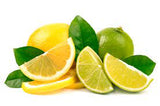 Lemon - Lime Lip Balm