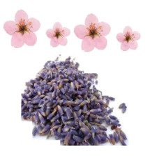 Apple Blossom & Lavender (BBW Dupe) Fragrant Oil