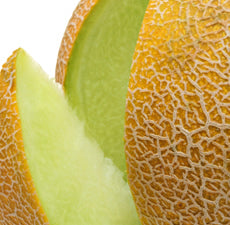 Honeydew Melon Fragrant Oil