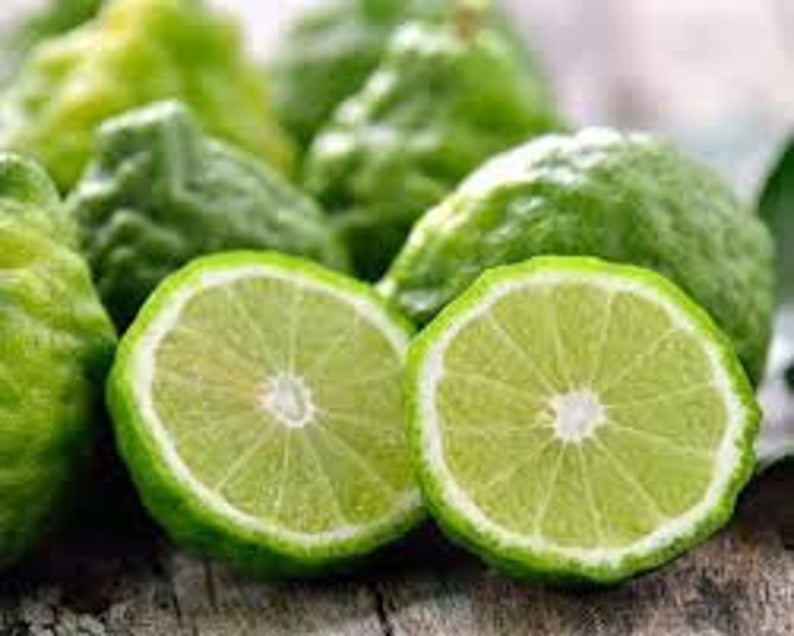Bergamot - Bergaptene Free (Calabrian) Essential Oil