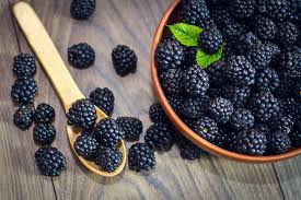 Blackberry Seed (Rubus Fruticosus) Carrier Oil - Unrefined - 30 ml