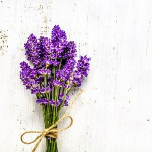Lavender Fragrant Oil