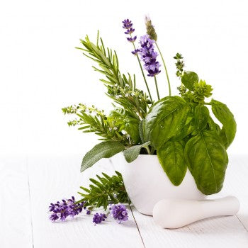 Lavender & Basil Fragrant Oil