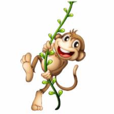 Monkey Fart Fragrant