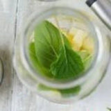 Pineapple Sage Fragrant Oil