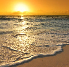 Sun & Sand Fragrant Oil